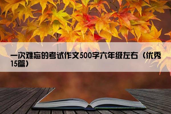 一次难忘的考试作文500字六年级左右(优秀15篇) 一次难忘的考试作文500字六年级左右(优秀15篇)