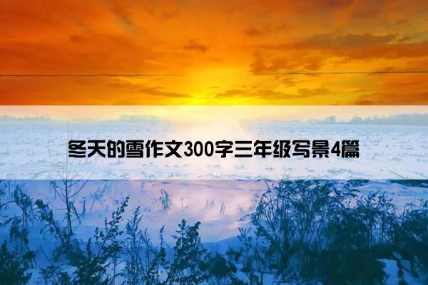 冬天的雪作文300字三年级写景4篇