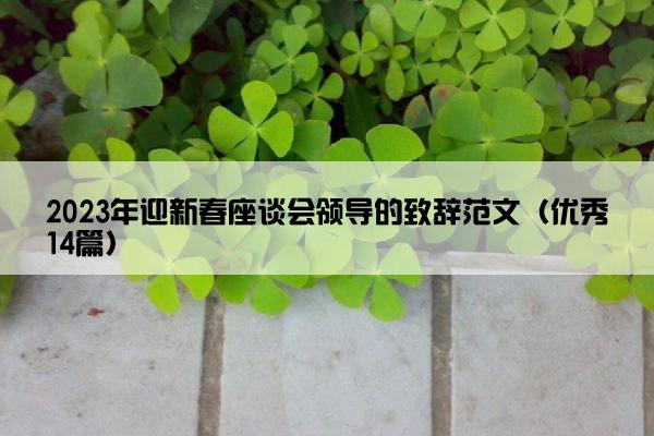 2023年迎新春座谈会领导的致辞范文（优秀14篇）