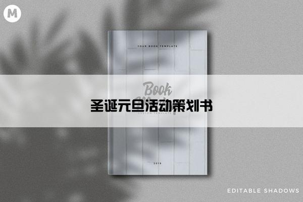 圣诞元旦活动策划书