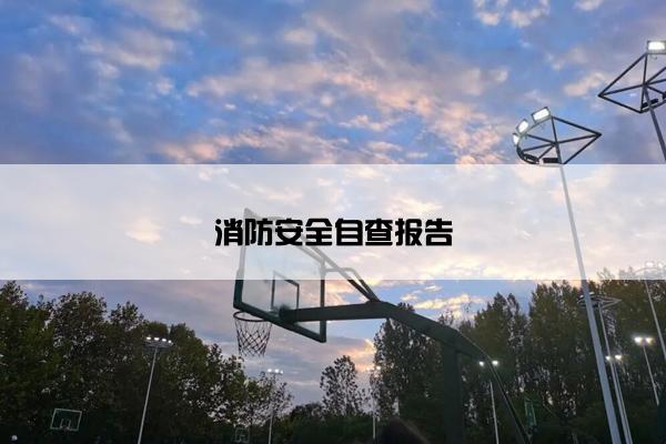 消防安全自查报告