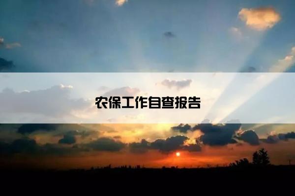 农保工作自查报告