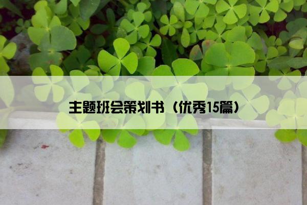 主题班会策划书（优秀15篇）