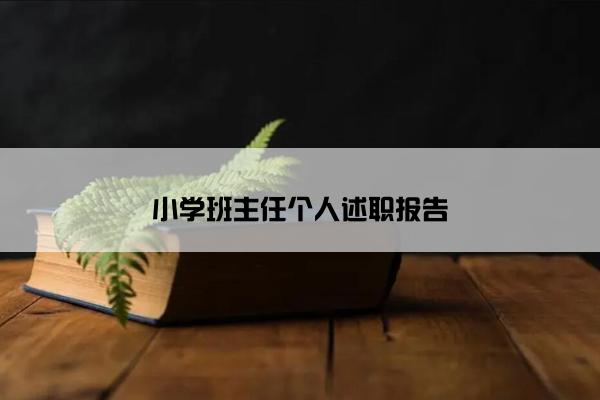 小学班主任个人述职报告