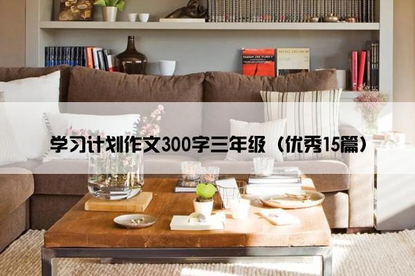 学习计划作文300字三年级（优秀15篇）