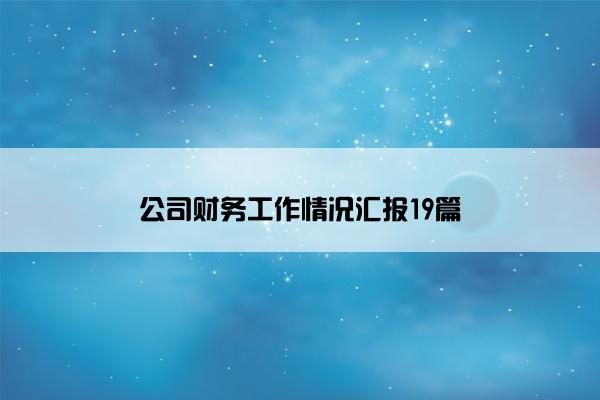 公司财务工作情况汇报19篇