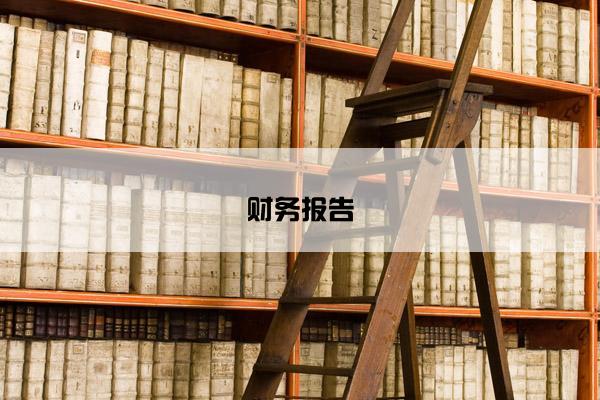 财务报告