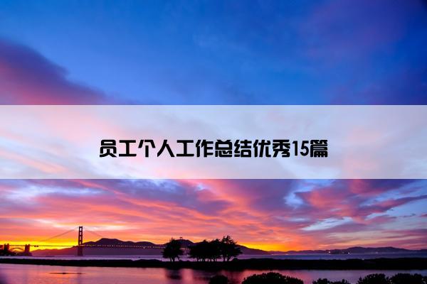 员工个人工作总结优秀15篇