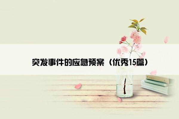 突发事件的应急预案（优秀15篇）