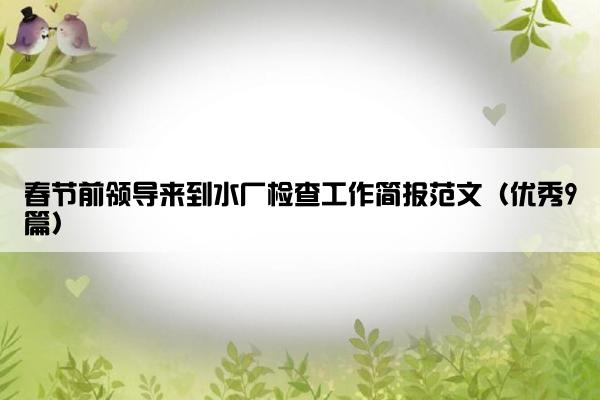 春节前领导来到水厂检查工作简报范文（优秀9篇）
