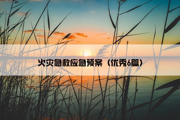 火灾急救应急预案（优秀6篇）