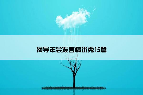 领导年会发言稿优秀15篇
