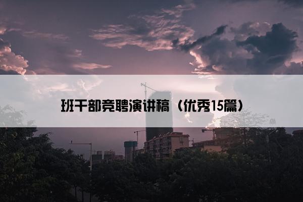 班干部竞聘演讲稿（优秀15篇）