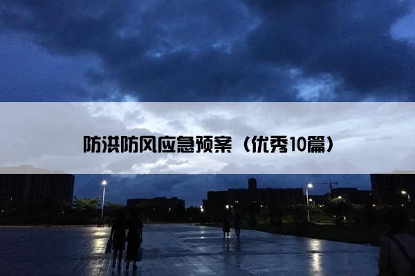 防洪防风应急预案（优秀10篇）