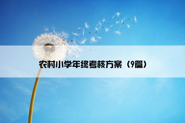 农村小学年终考核方案（9篇）