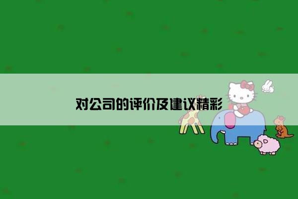 对公司的评价及建议精彩