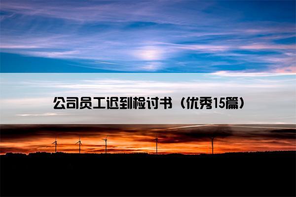 公司员工迟到检讨书（优秀15篇）