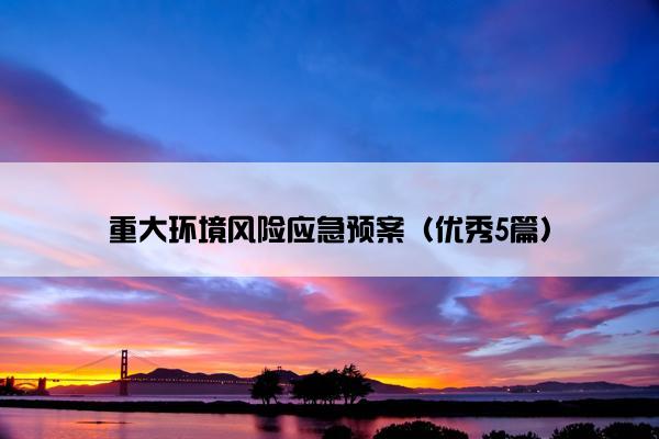 重大环境风险应急预案（优秀5篇）