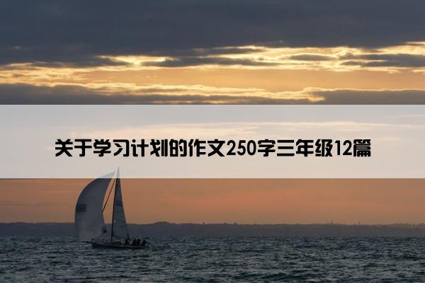 关于学习计划的作文250字三年级12篇