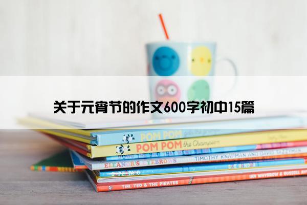 关于元宵节的作文600字初中15篇