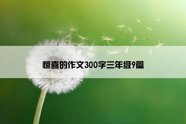 惊喜的作文300字三年级9篇
