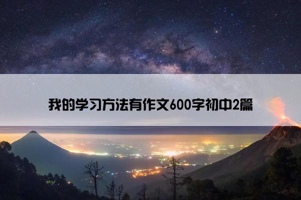 我的学习方法有作文600字初中2篇