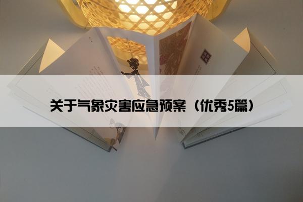 关于气象灾害应急预案(优秀5篇) 关于气象灾害应急预案(优秀5篇)