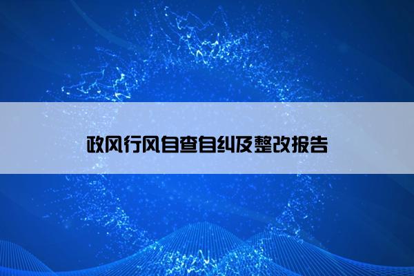 政风行风自查自纠及整改报告