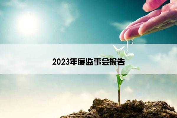 2023年度监事会报告
