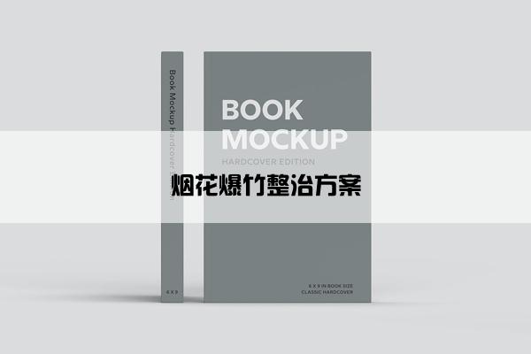 烟花爆竹整治方案