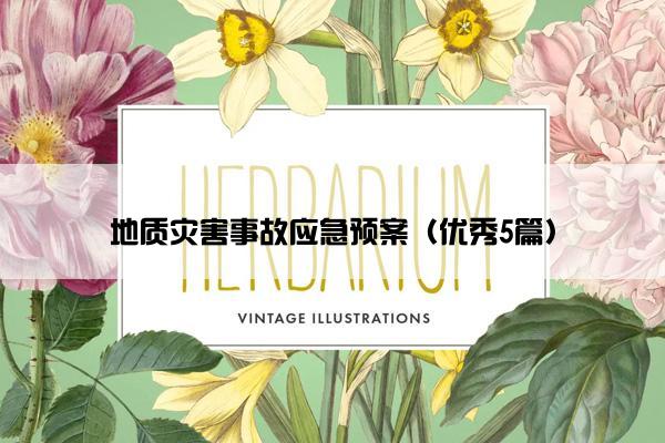 地质灾害事故应急预案(优秀5篇) 地质灾害事故应急预案(优秀5篇)