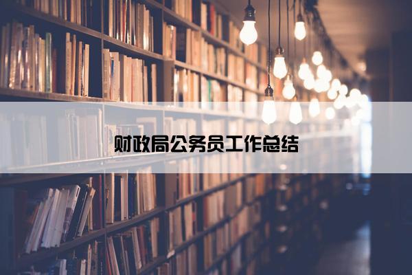 财政局公务员工作总结