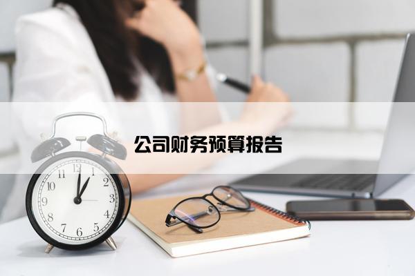 公司财务预算报告 公司财务预算报告