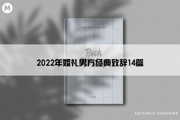 2022年婚礼男方经典致辞14篇