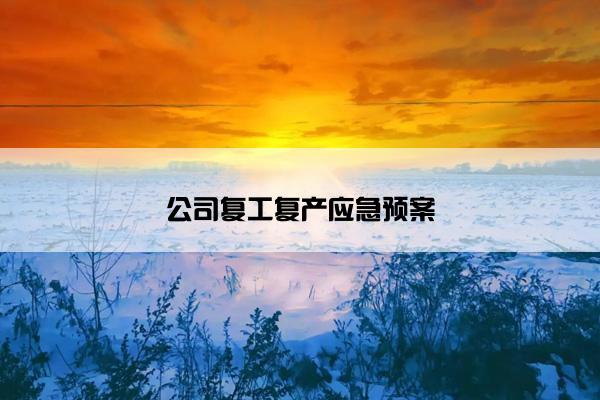 公司复工复产应急预案