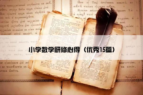 小学数学研修心得（优秀15篇）
