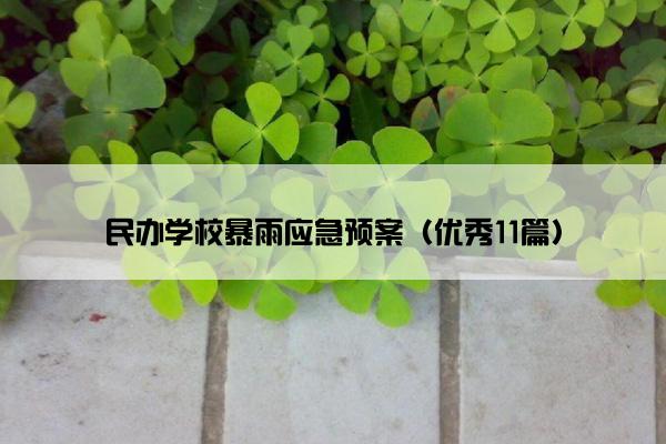 民办学校暴雨应急预案（优秀11篇）