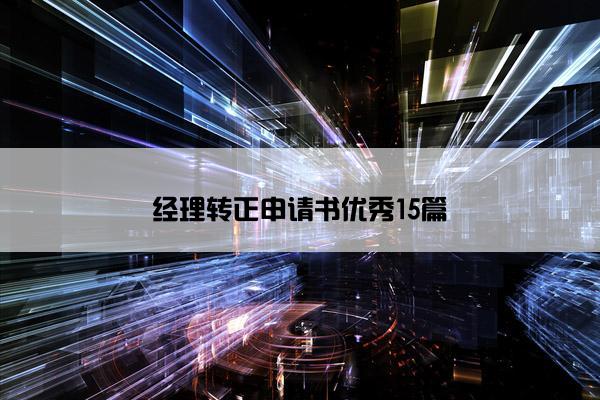 经理转正申请书优秀15篇