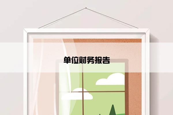 单位财务报告