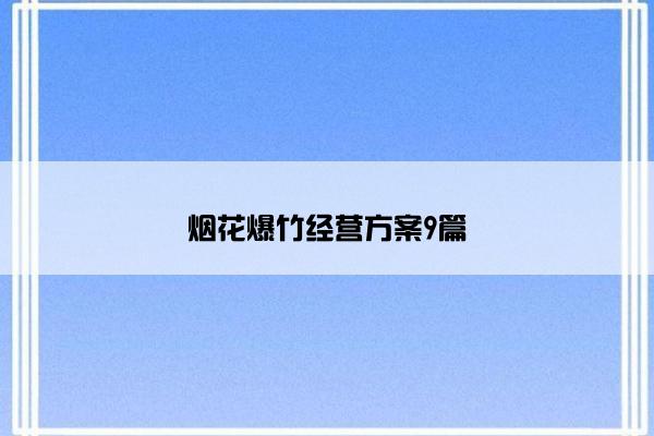 烟花爆竹经营方案9篇