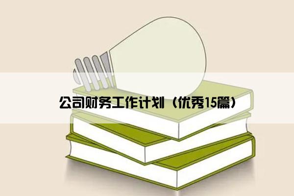 公司财务工作计划（优秀15篇）