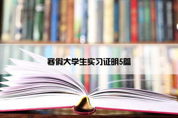 寒假大学生实习证明5篇
