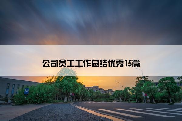 公司员工工作总结优秀15篇