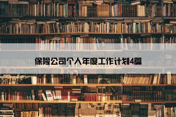 保险公司个人年度工作计划4篇