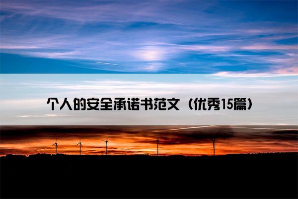 个人的安全承诺书范文（优秀15篇）