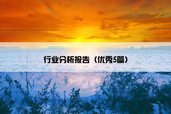 行业分析报告（优秀5篇）
