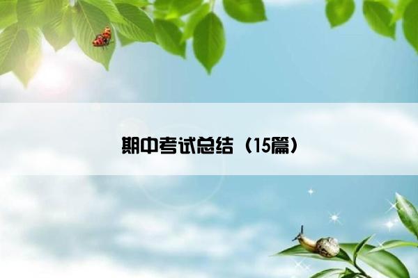 期中考试总结（15篇）