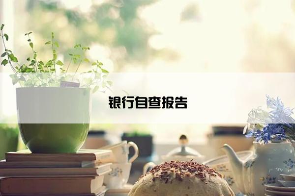 银行自查报告