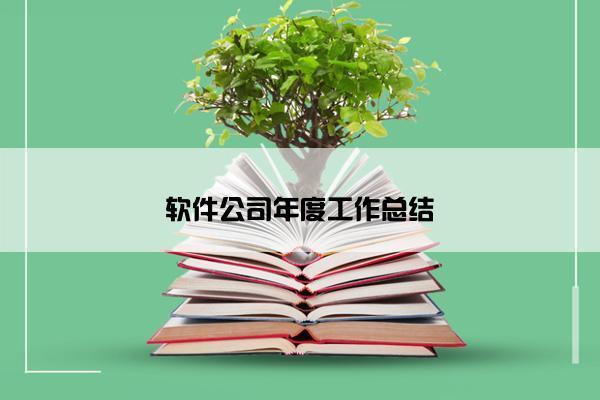 软件公司年度工作总结