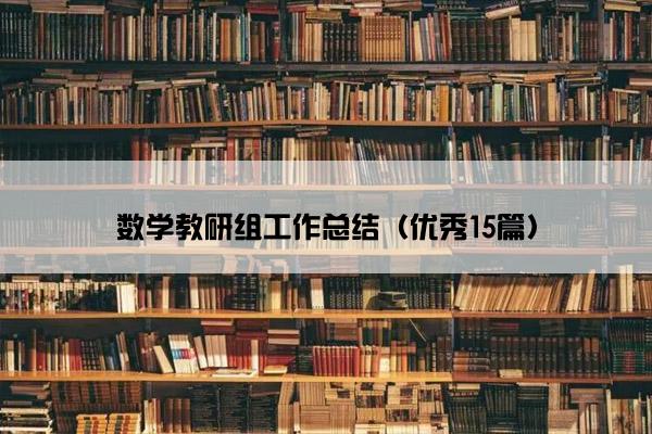 数学教研组工作总结（优秀15篇）